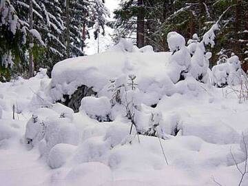 Фото номера Дом для отпуска Дома для отпуска Holiday Home Metsäpirtti г. Pätiälä 10