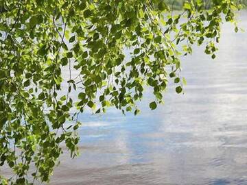 Фото номера Дом для отпуска Дома для отпуска Holiday Home Joutsenlahti г. Pätiälä 14