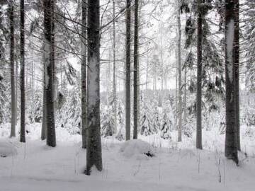 Фото номера Дом для отпуска Дома для отпуска Holiday Home Rinnekämppä г. Pätiälä 36