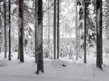 Фото номера Дом для отпуска Дома для отпуска Holiday Home Rinnekämppä г. Pätiälä 15