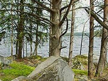 Фото номера Дом для отпуска Дома для отпуска Holiday Home Mäntyniemi г. Pätiälä 36
